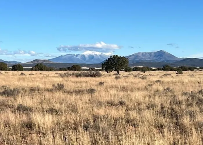 Big Sky Grand Canyon Tiny House Williams
